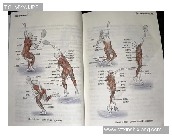 上海网球队速度表现数据分析揭示运动员潜力与训练效果的深度关系 上海网球队速度表现数据分析揭示运动员潜力与训练效果的深度关系