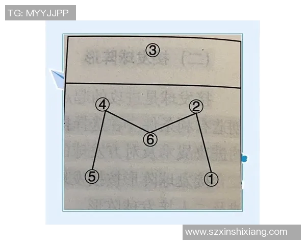 北京排球队的战术演变与球员转换深度解析 北京排球队的战术演变与球员转换深度解析