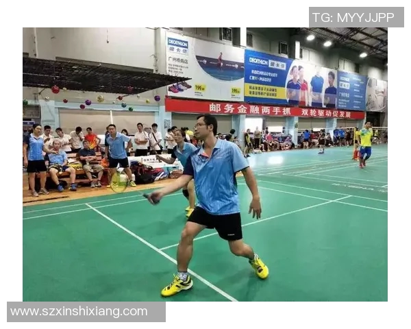 北京羽毛球队在锦标赛中的战术分析与表现评估 北京羽毛球队在锦标赛中的战术分析与表现评估