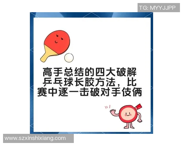 王强独家分享乒乓球技巧与心得助你提升球技的秘诀与经验总结