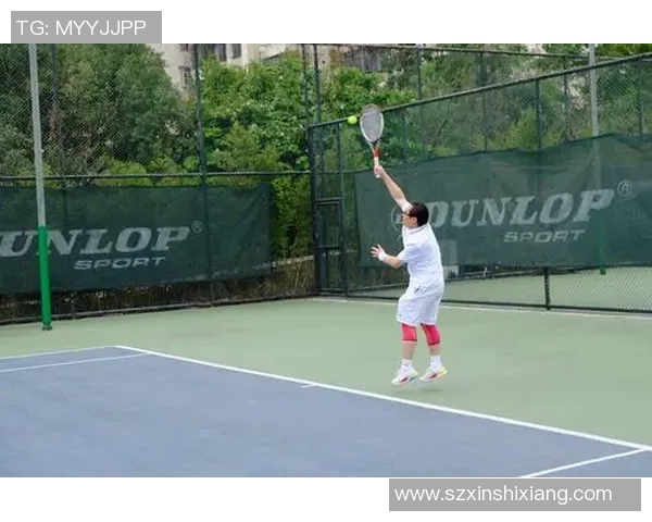 西安网球队在总决赛中的技术表现分析与总结