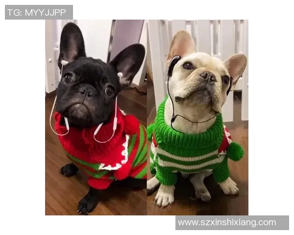 足球明星中谁对粉丝最为宠爱与关怀的背后故事揭秘 足球明星中谁对粉丝最为宠爱与关怀的背后故事揭秘