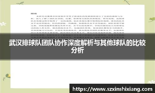武汉排球队团队协作深度解析与其他球队的比较分析